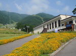 P8100244.jpg