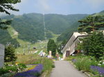 P8100246.jpg