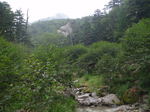 P9060033.jpg