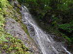P9130002.jpg