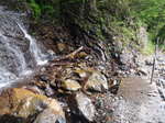 P9130003.jpg