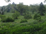 P9130017.jpg