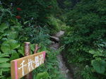 P9130020.jpg