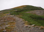 P9140080.jpg