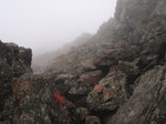P9140086.jpg