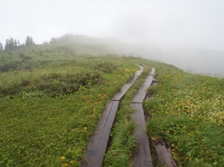 P9160827_large[1].JPG