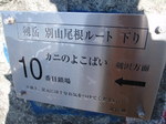 P9200118.jpg