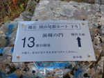 P9200131.jpg