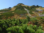 P9200151.jpg