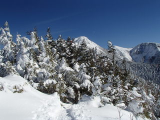 PC280004.JPG