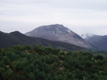 Pa220106.jpg