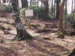 Pb250325.jpg