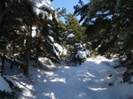 Pc130029.jpg
