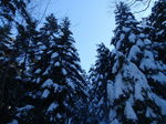 Pc130030.jpg